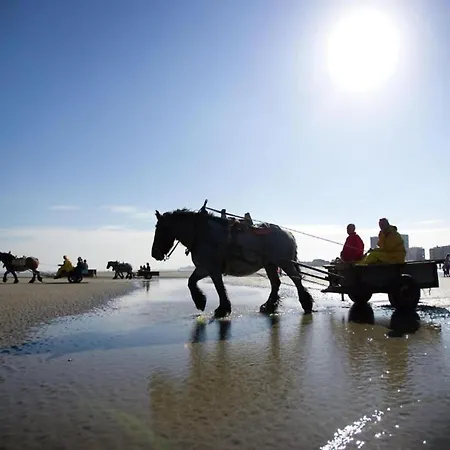 In With Sea Views, Cleaning Included Nieuwpoort